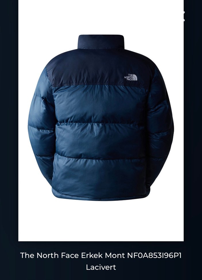 The North Face Erkek Lacivert Mont - Görsel 2