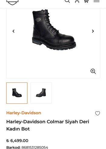 Harley Davidson Harley Davidson Colmar Kadın Bot