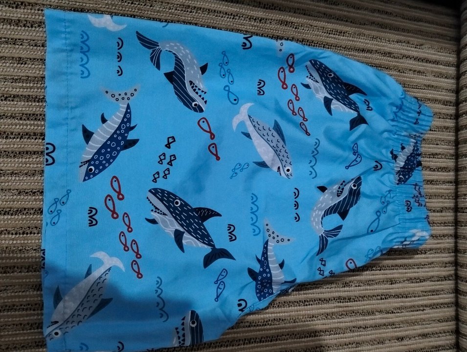 Erkek Çocuk Deniz Şortu - Görsel 2