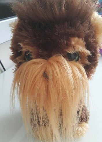  Beden Fear Real köpek
