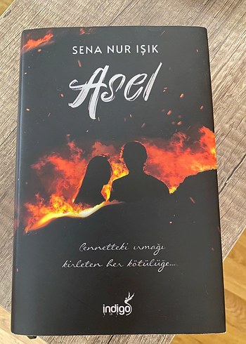 Asel - Sena Nur Işık Roman