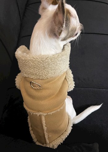 Beyaz Nakışlı Kürk Detaylı Köpek Montu - Görsel 2