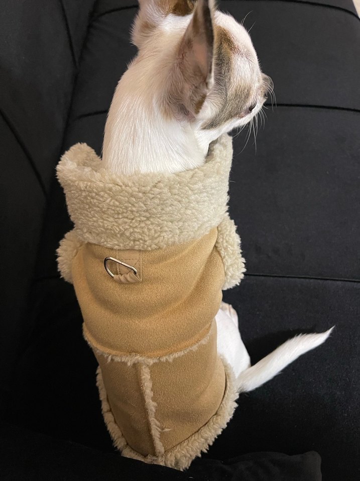 Beyaz Nakışlı Kürk Detaylı Köpek Montu - Görsel 2