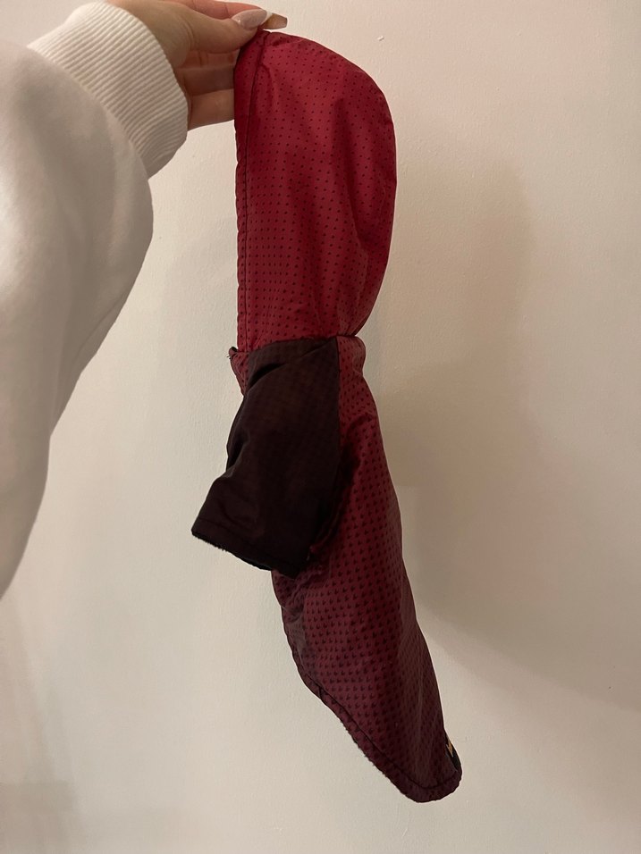 Bordo Fermuarlı Sokak Stili Köpek Kıyafeti - Görsel 2