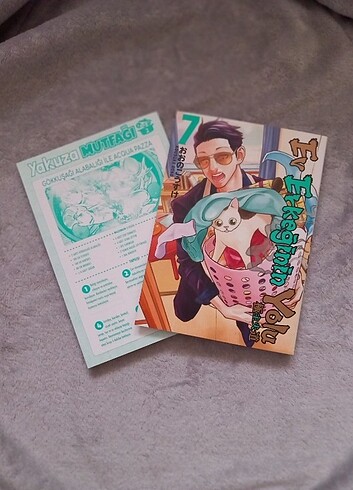 Ev erkeğinin yolu cilt 7, Gokushufudou manga, anime