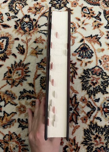 Akrebin Kalbi I - Aycan Sariahmet - Görsel 2