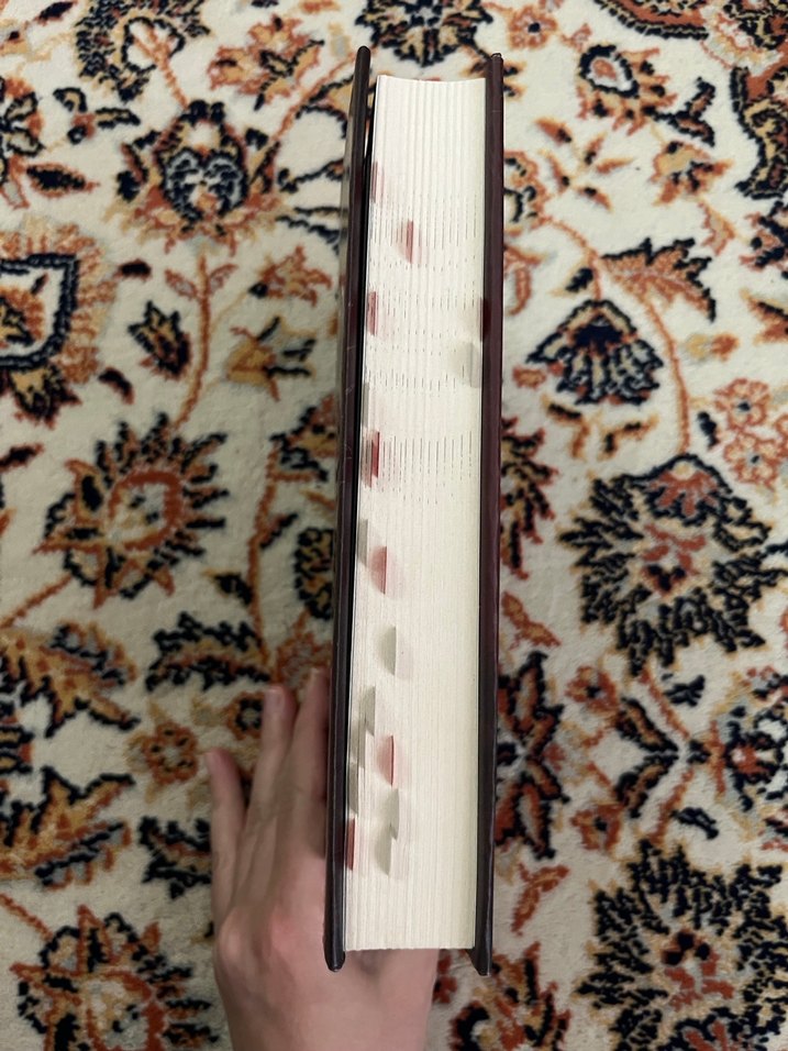 Akrebin Kalbi I - Aycan Sariahmet - Görsel 2