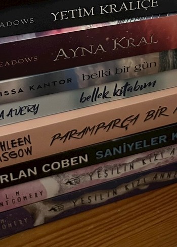 Farklı Yazarların Roman Koleksiyonu