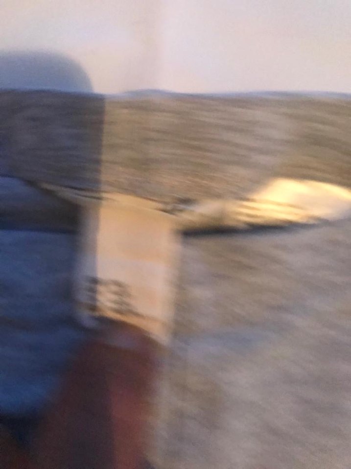 Kız Çocuk Gri Dar Kesim Tayt,7-8 yaş - Görsel 2