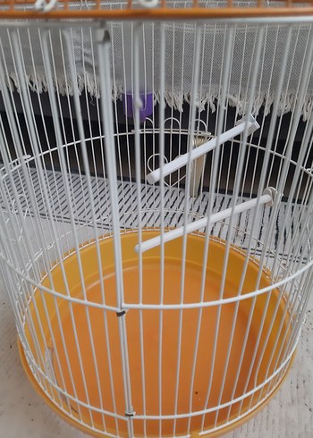 Turuncu Renkli Kuş Kafesi - Görsel 10