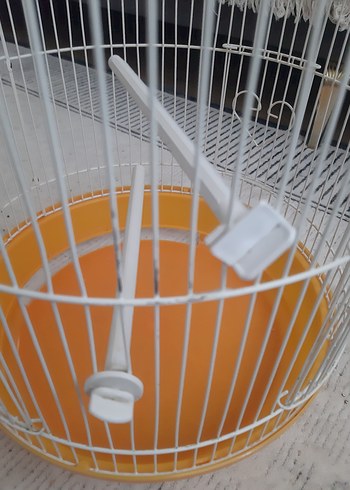 Turuncu Renkli Kuş Kafesi - Görsel 5