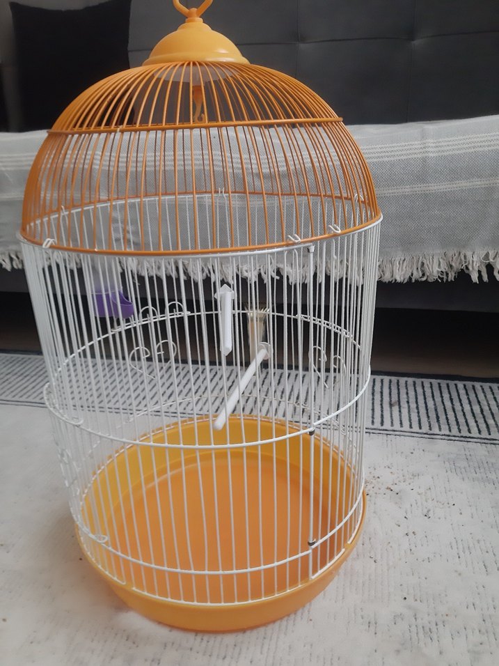 Turuncu Renkli Kuş Kafesi - Görsel 4