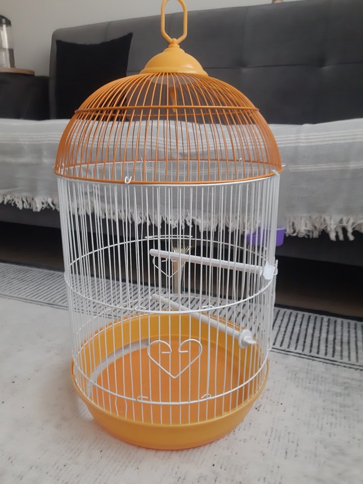 Turuncu Renkli Kuş Kafesi - Görsel 2