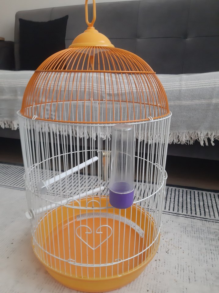Turuncu Renkli Kuş Kafesi - Görsel 3