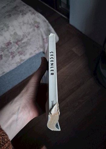 Çeçenler - Sam İnceleme - Görsel 2