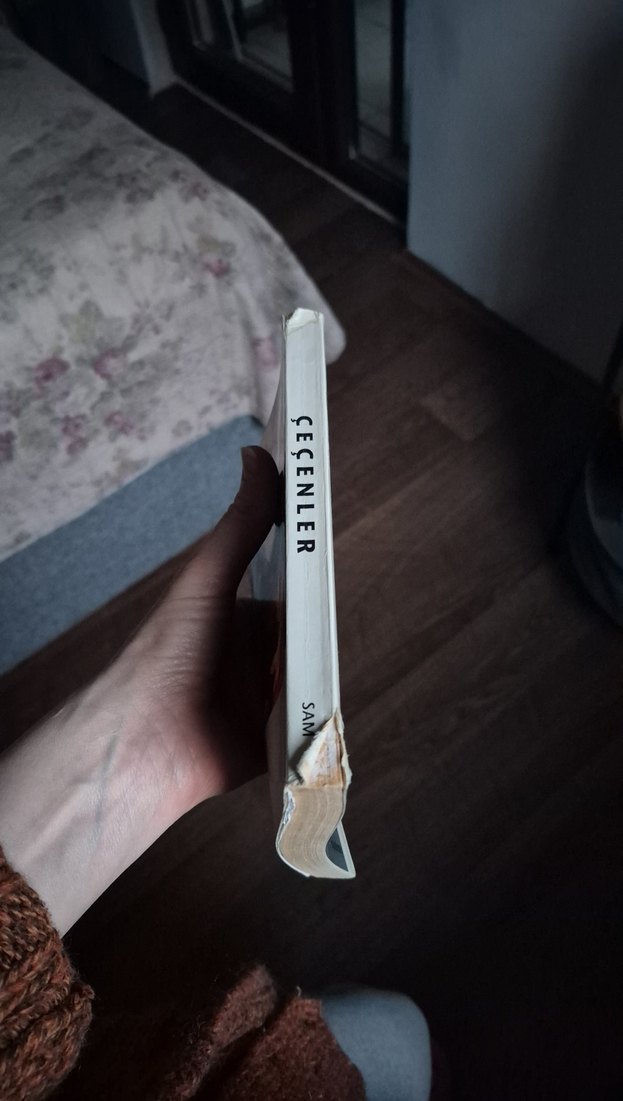 Çeçenler - Sam İnceleme - Görsel 2