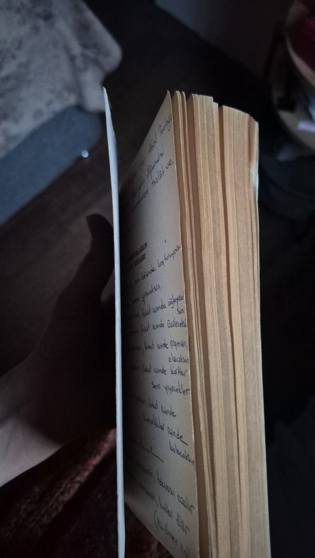 Şuurların Son Anları - Burhan Bozgeyik - Görsel 3