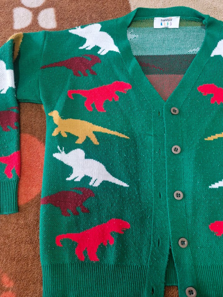 Renkli Dinozor Desenli Örgü Hırka - Görsel 3