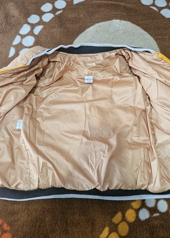 Sarı Erkek Çocuk Fermuarlı Mont - Görsel 3