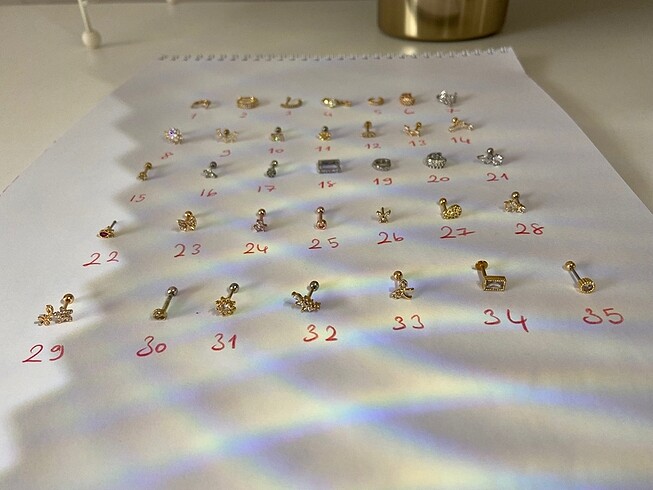  Beden Piercing hizme tragus