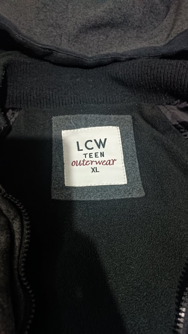 Gri Kapüşonlu Fermuarlı Kadın mont - Görsel 4