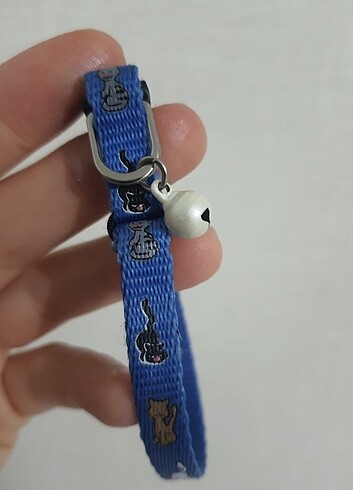 Kedi tasması  - Görsel 3