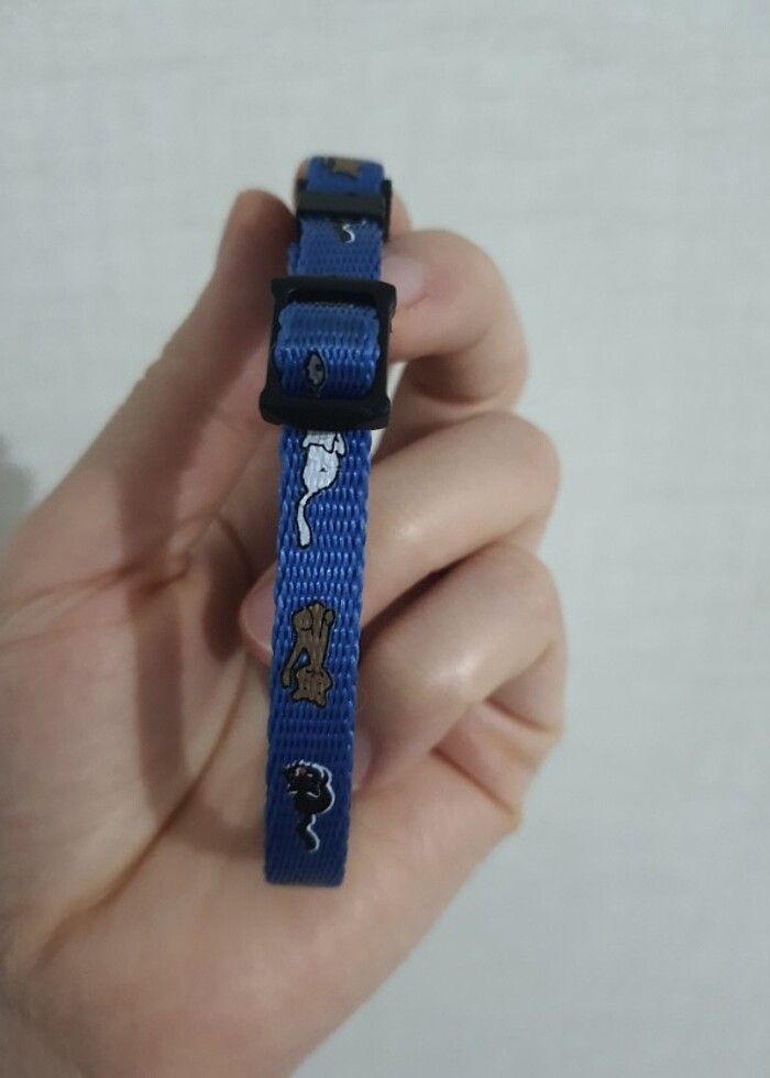 Kedi tasması  - Görsel 4