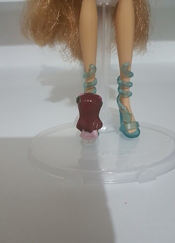  Beden Winx club amore????