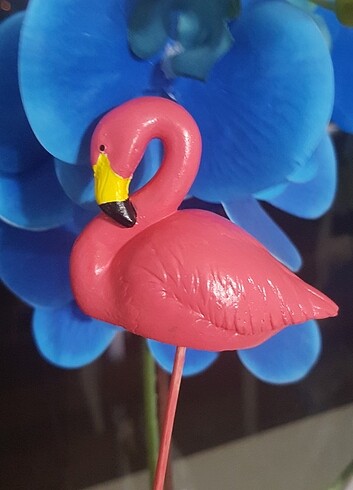 Flamingo sunum biblo