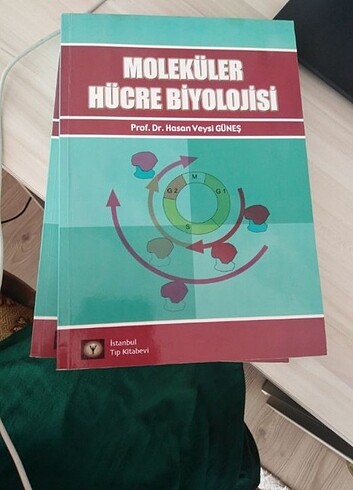  Beden Moleküler hücre biyolojisi hasan Veysi güneş 