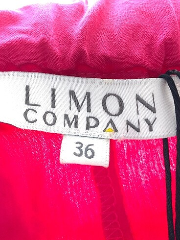 36 Beden pembe Renk Limon Company Uzun Elbise %70 İndirimli.