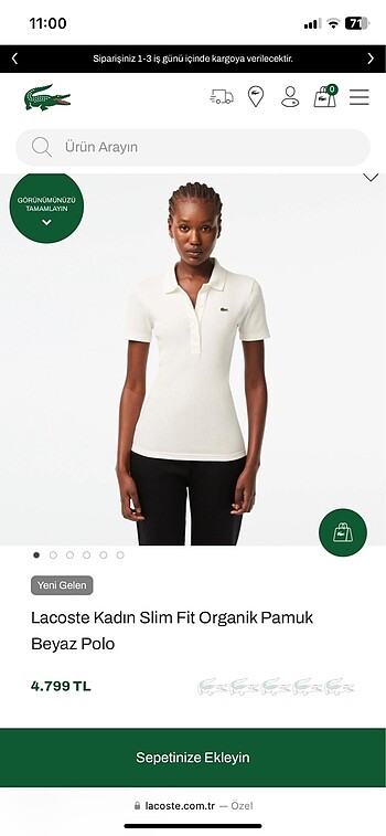 Lacoste Polo yaka