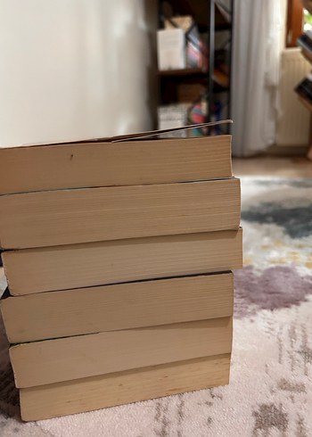  Elizabeth Hoyt 6 Kitap Seti Roman