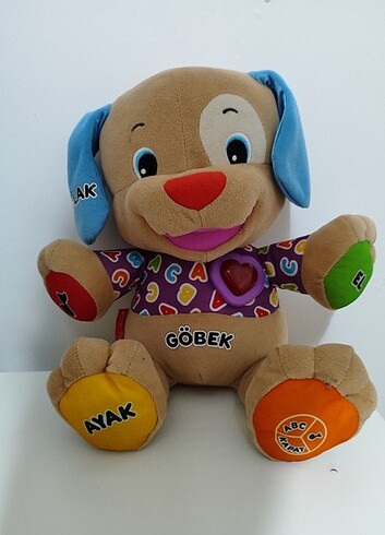 Eğitici köpekçik