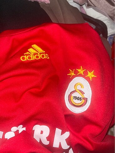 GS Forma (2009-2010) - Görsel 3