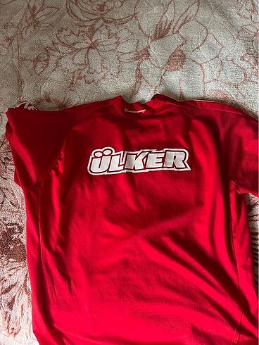 GS Forma (2009-2010) - Görsel 4