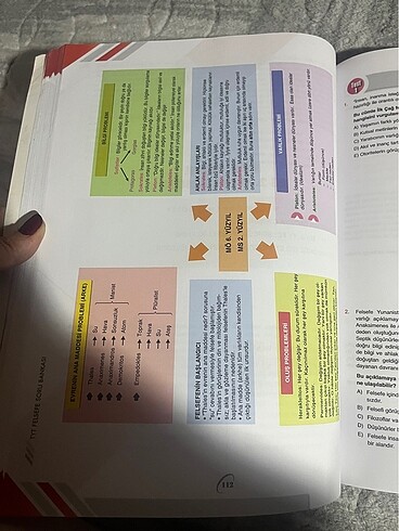  Beden Renk BİLGİ SARMAL FELSEFE