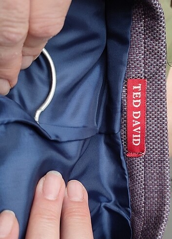 Ted David Erkek Takım Mürdüm Rengi