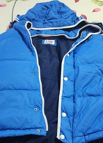 Lacoste erkek mont