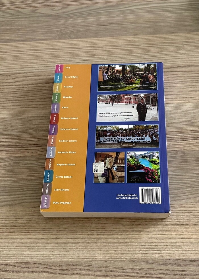 Anatomi - Görsel 3