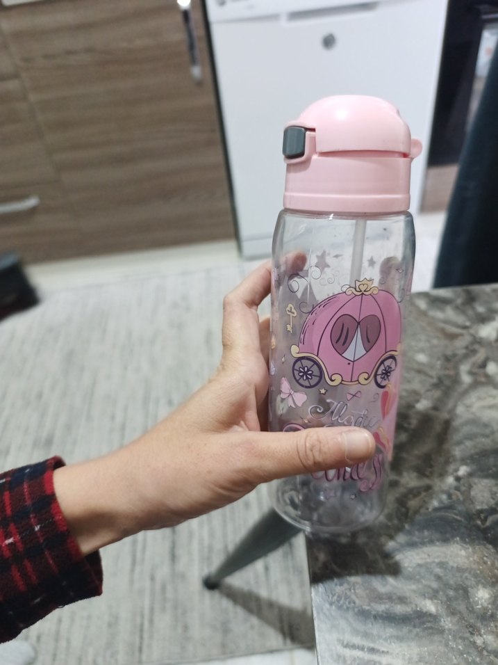 Pembe Prenses Temalı Çocuk Matara - Görsel 4