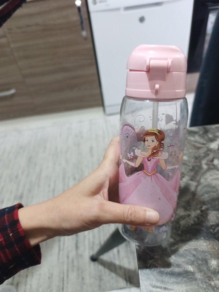 Pembe Prenses Temalı Çocuk Matara - Görsel 2