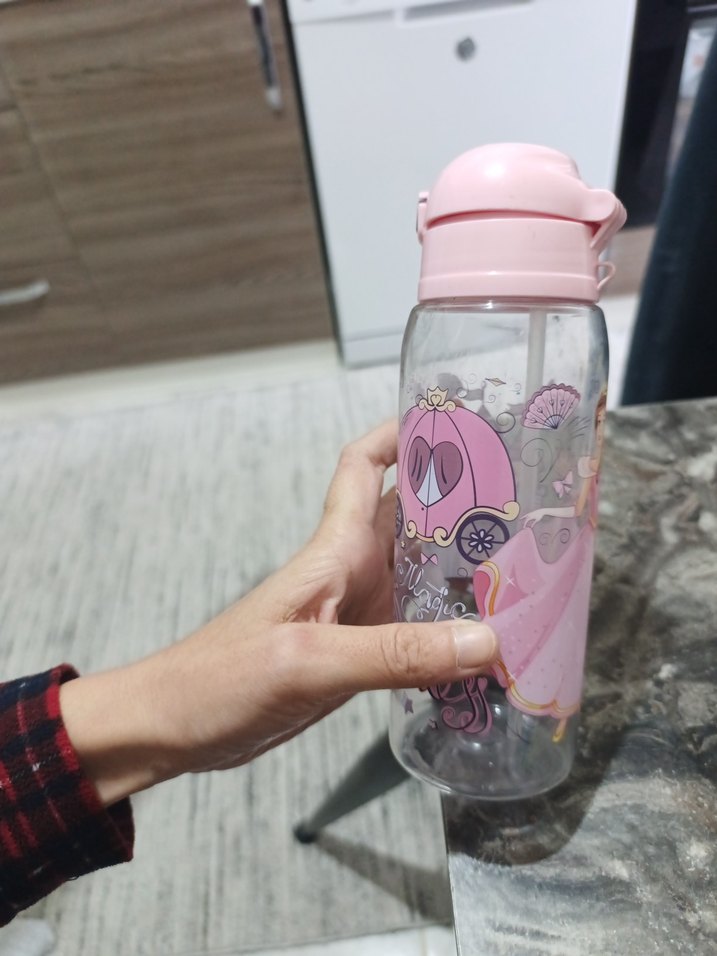 Pembe Prenses Temalı Çocuk Matara - Görsel 3