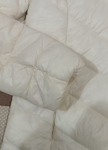 100 liraya mont