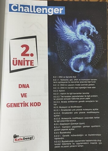  LGS Hazırlık testleri 