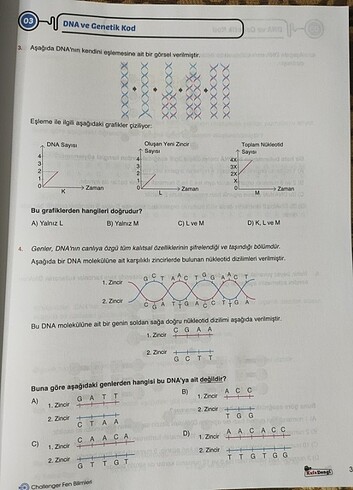  Beden LGS Hazırlık testleri 