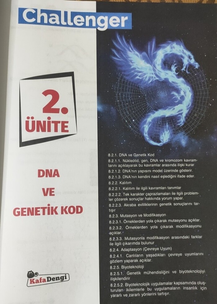 LGS Hazırlık testleri  - Görsel 2