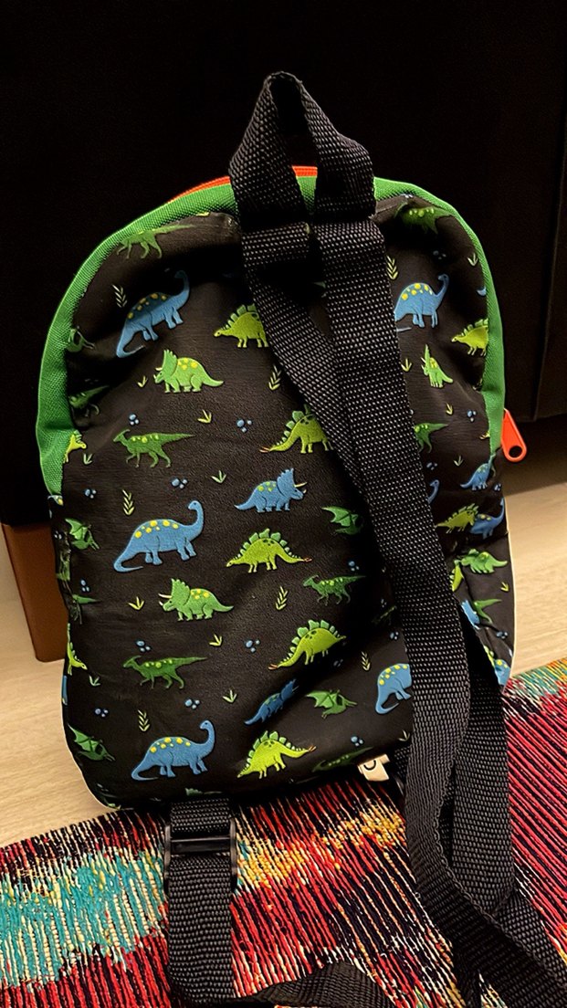 LCW Erkek Çocuk Dinozor Oyuncaklı Sırt Çantası - Görsel 5