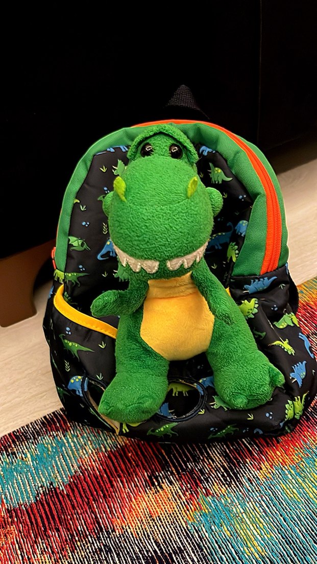LCW Erkek Çocuk Dinozor Oyuncaklı Sırt Çantası - Görsel 4