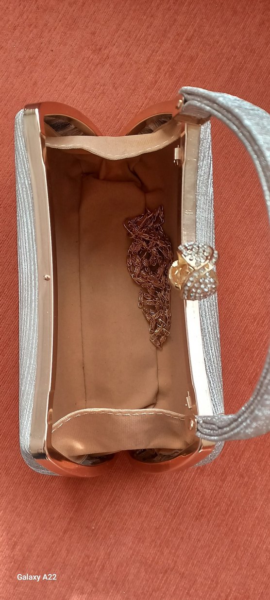 Bej Parlak Yılan Desenli Kadın Portföy Çanta - Görsel 4